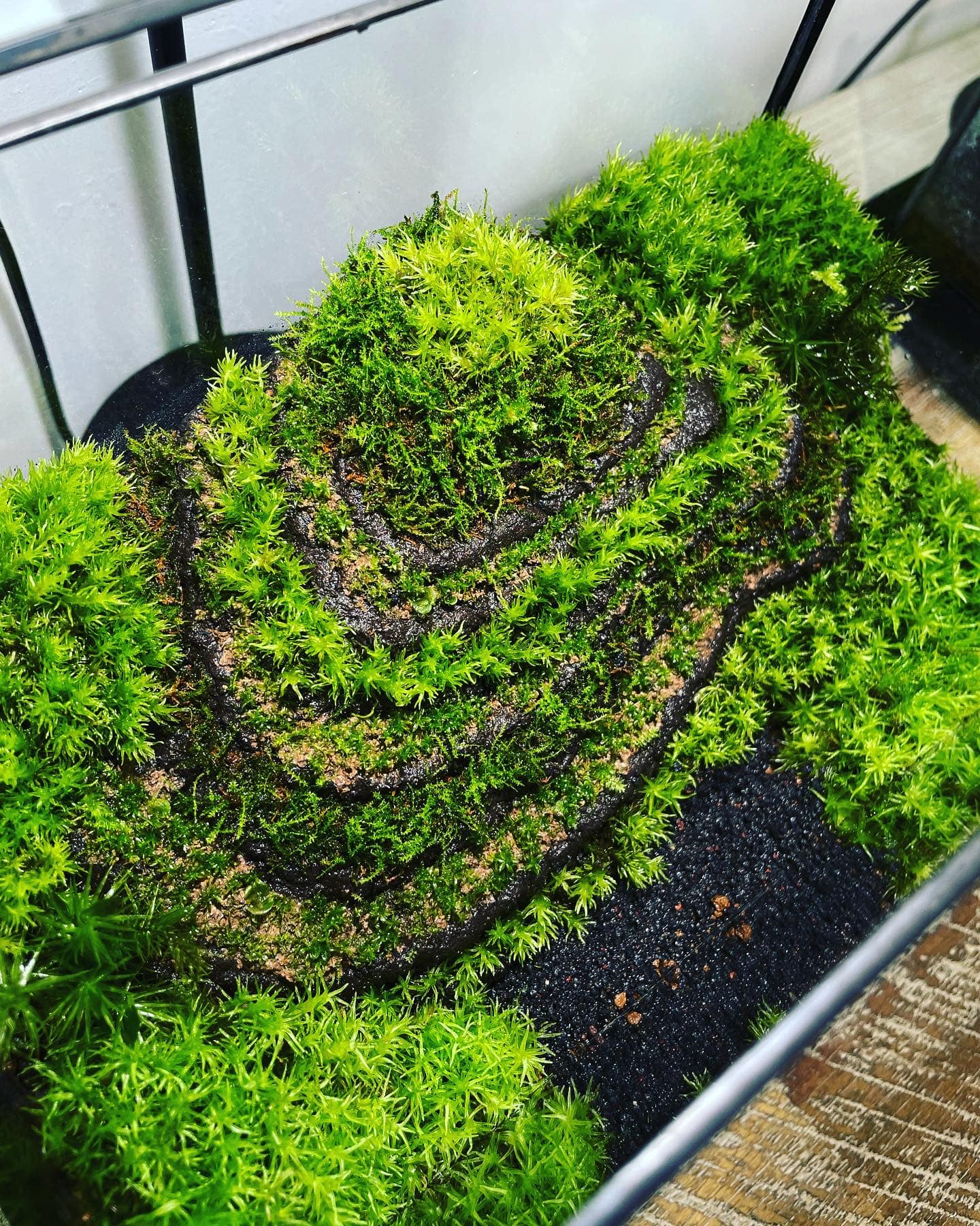 Black Box Collection Horizontal Large#005~田園~