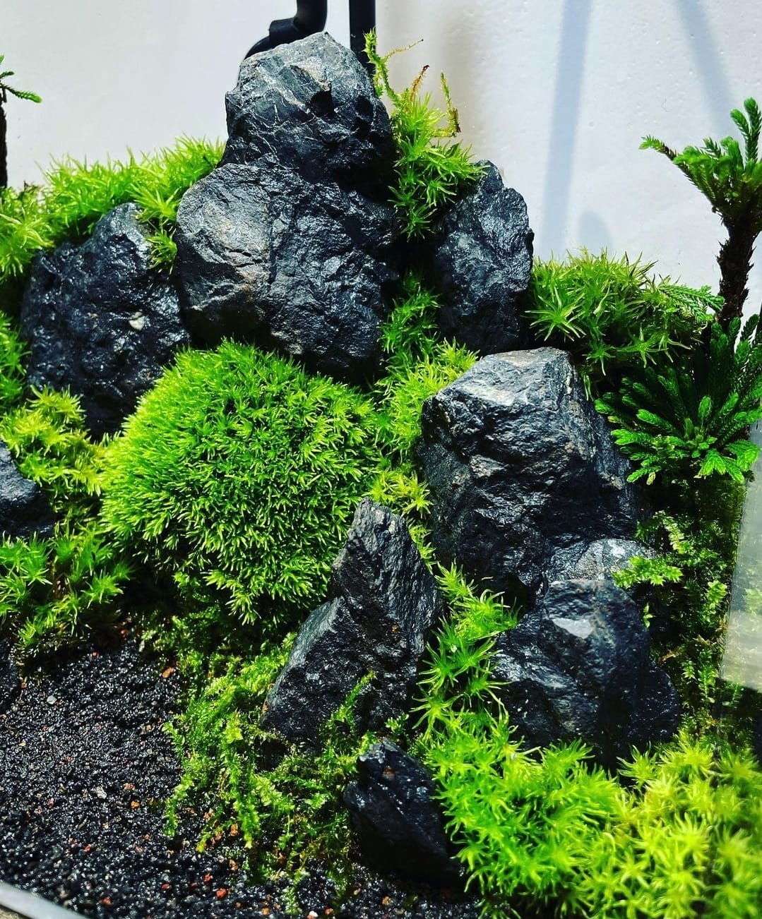 Black Box Collection Square Large#006~山脈~