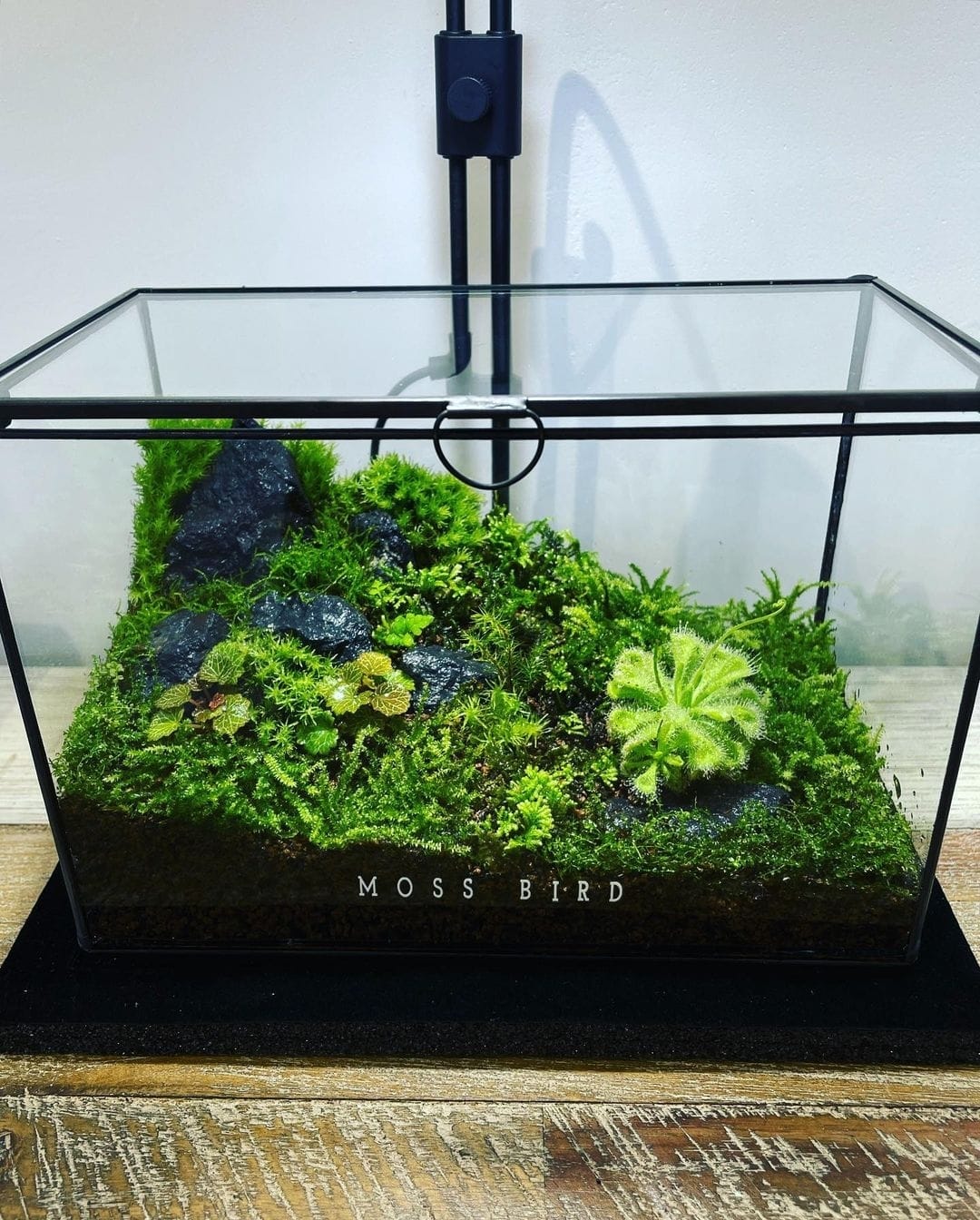 Black Box Collection Horizontal Large#009~山坡~