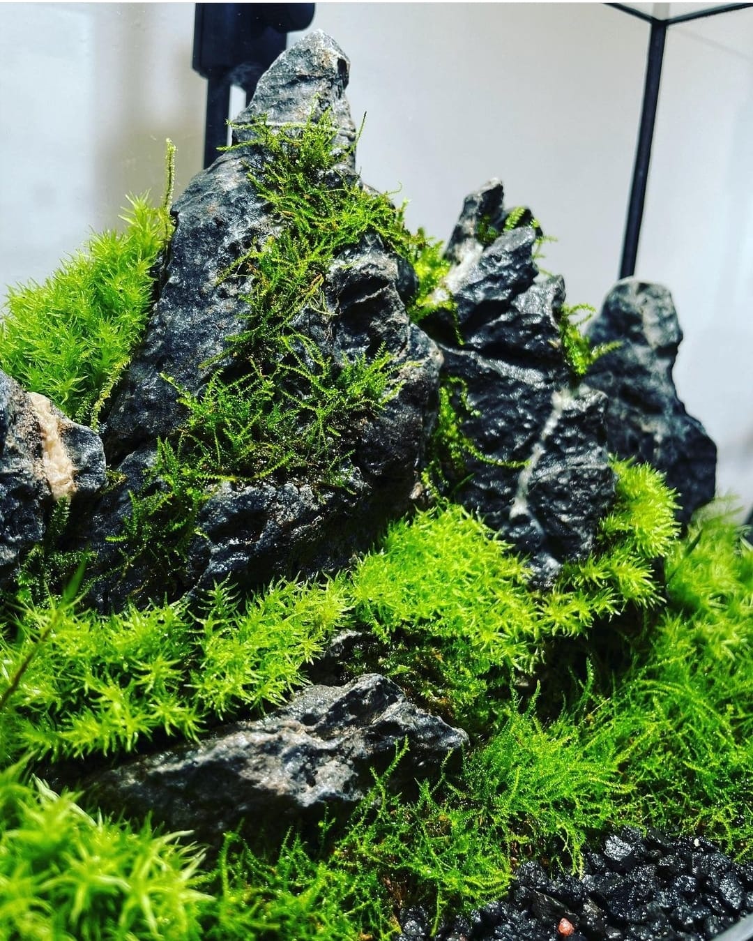 Black Box Collection Square Large#009~高原~