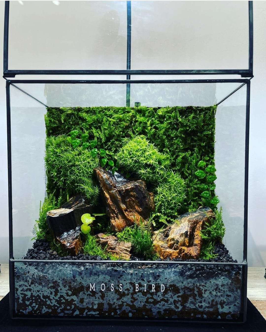 Black Box Collection Square Large#012~能量山丘~