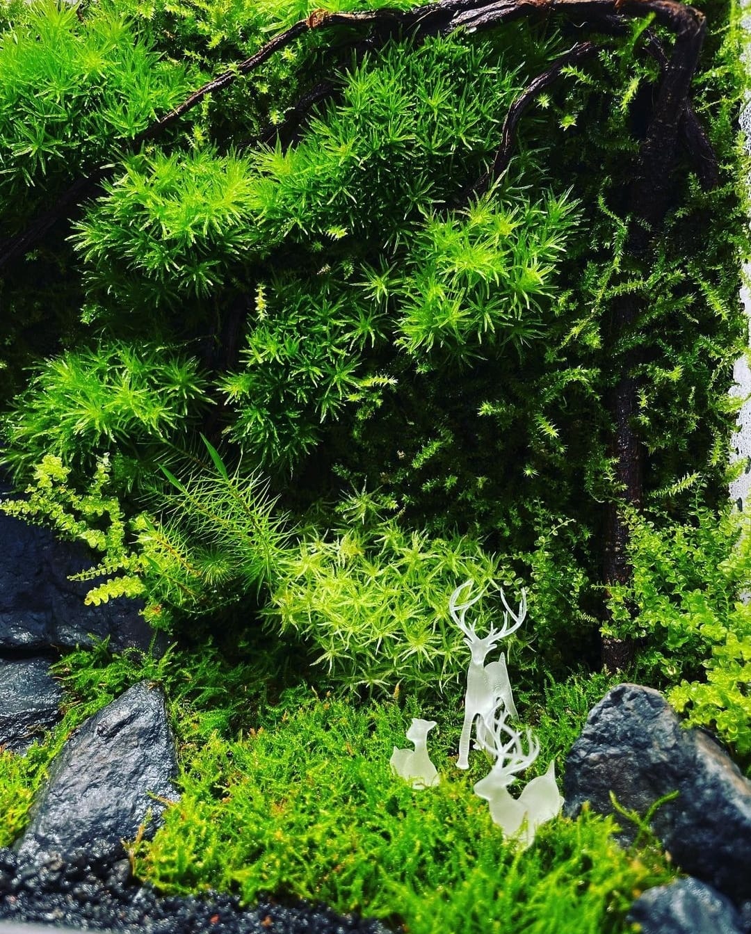 Black Box Collection Square Large#014~奈良之景~