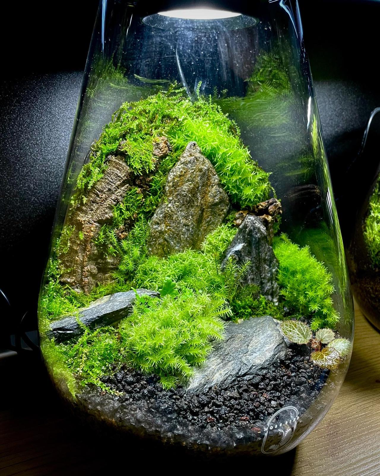 Helium Balloon Collection Large#004~氫氧球系列~