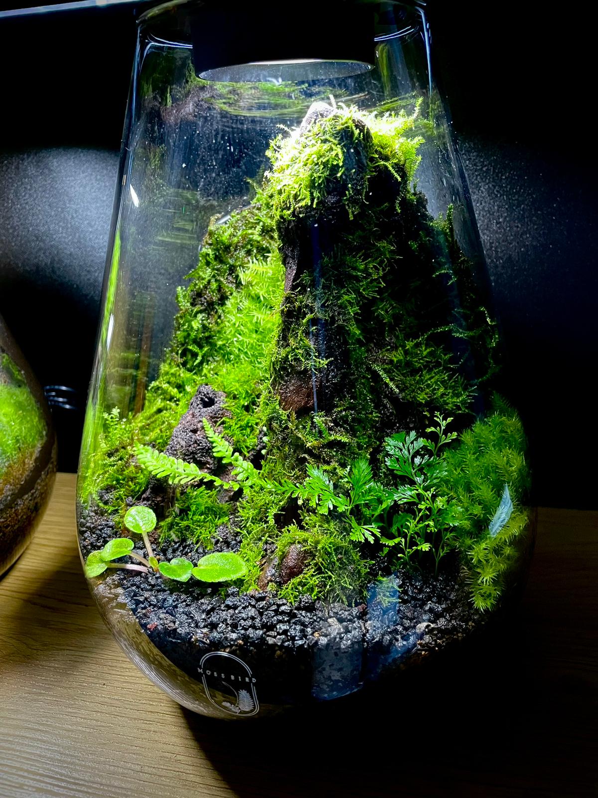 Helium Balloon Collection Large#005~氫氧球系列~