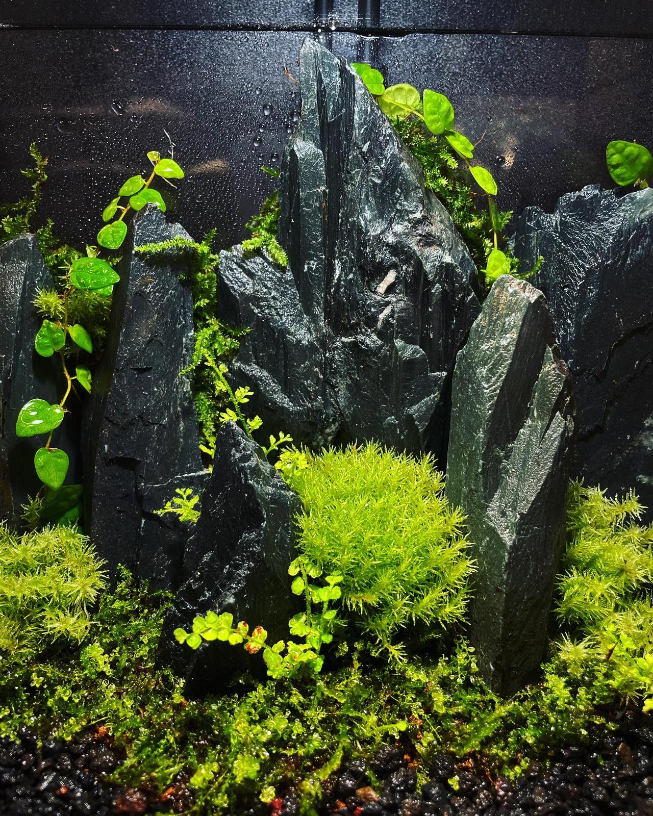 Black Box Collection Square Large#018~山脈~