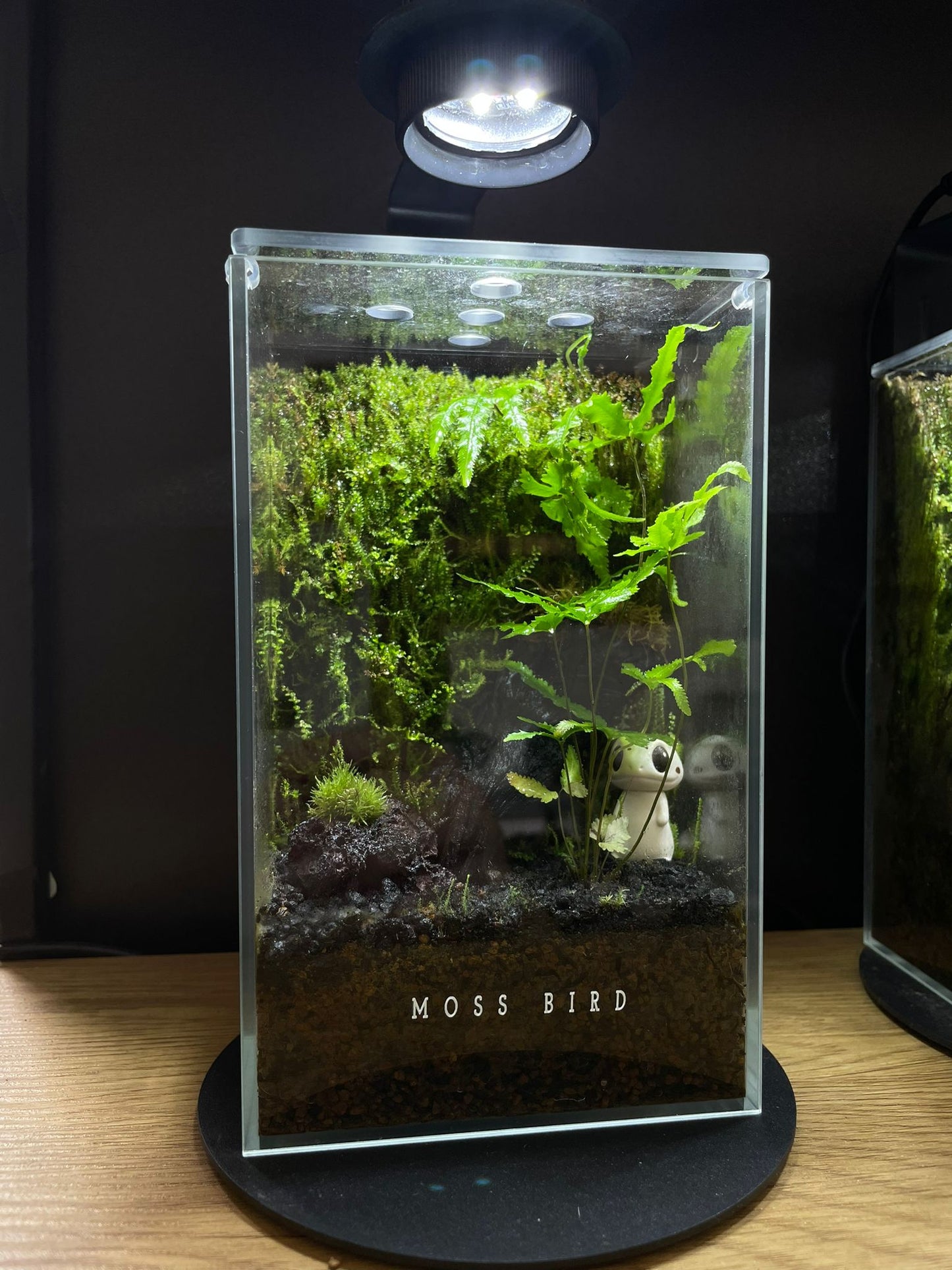 Forest Collection Straight Small#009(角落生物)