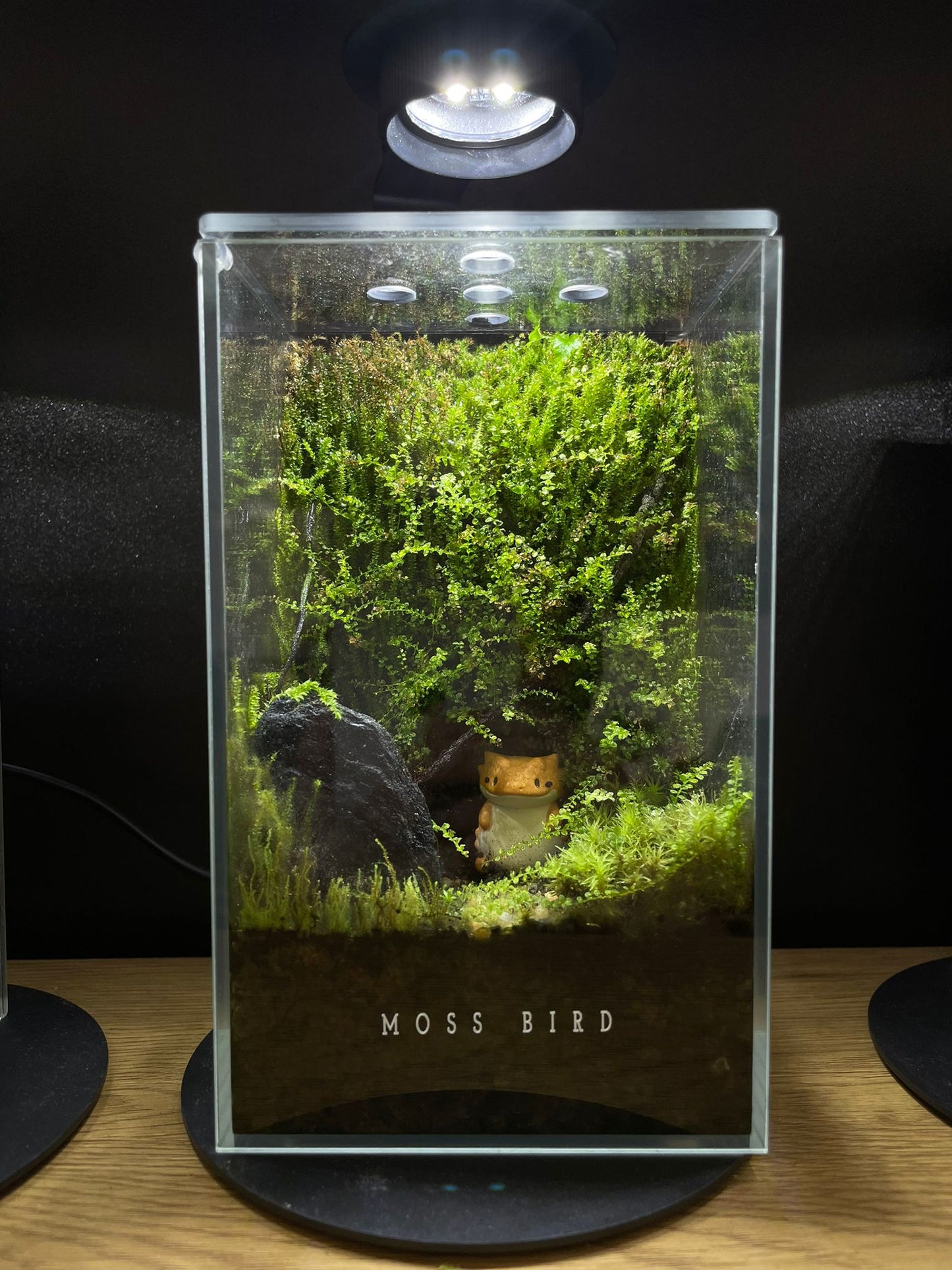 Forest Collection Straight Small#008(角落生物)