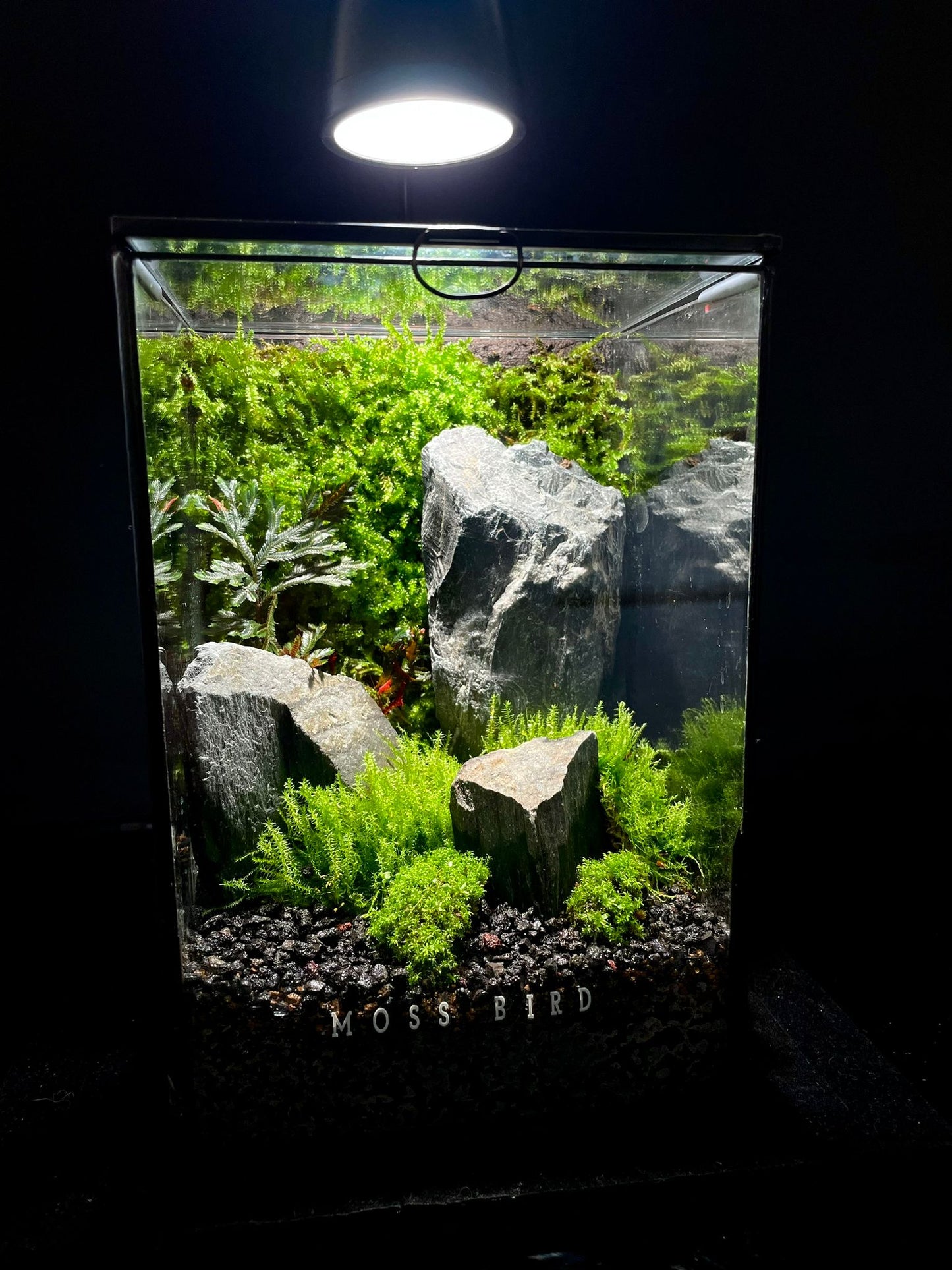 Black Box Collection Straight Large#013~山峽高原~