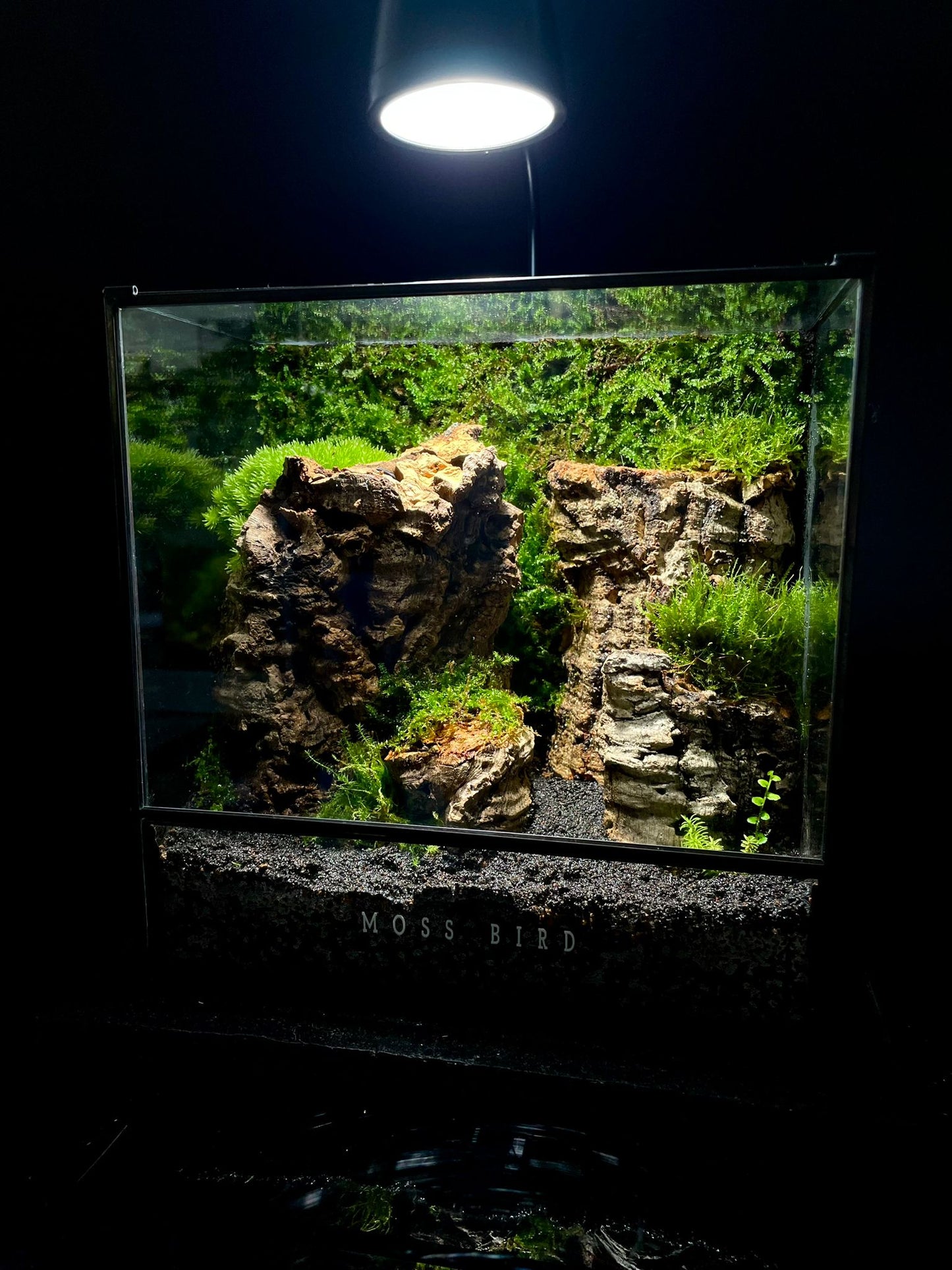 Black Box Collection Square Large#019~山谷 ~