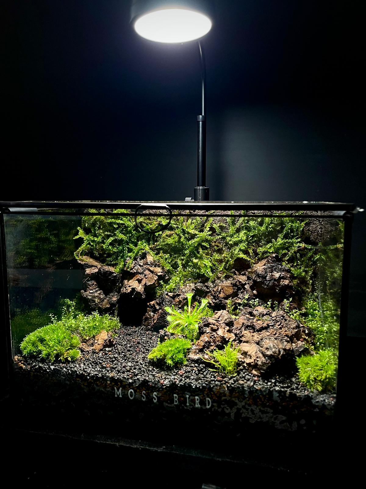 Black Box Collection Horizontal Large#014~洞穴~