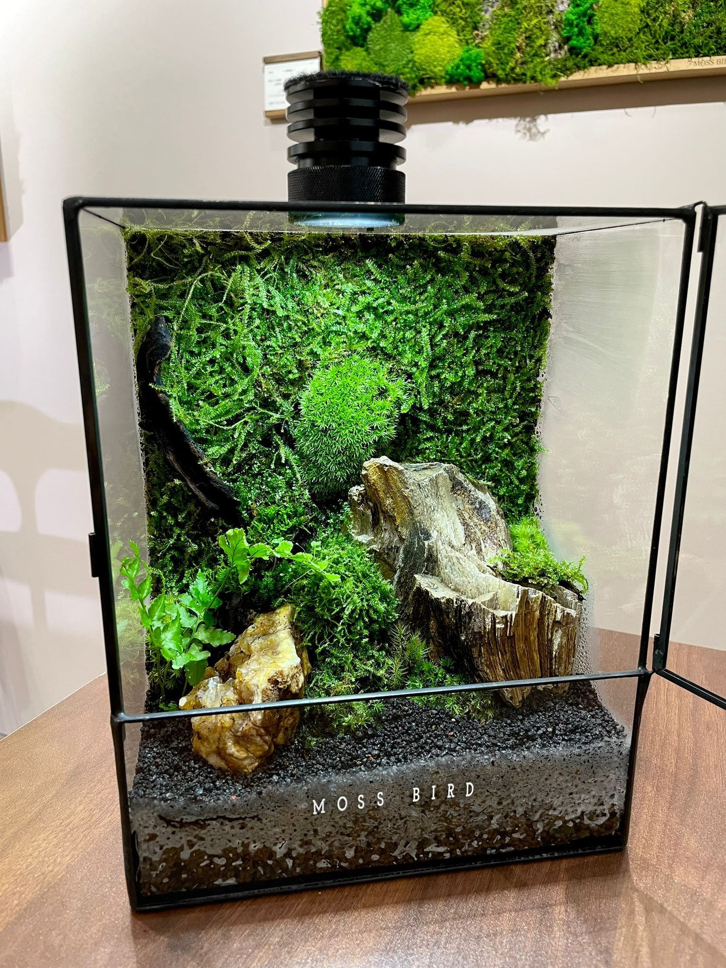 Black Box Collection Straight Large-SP002