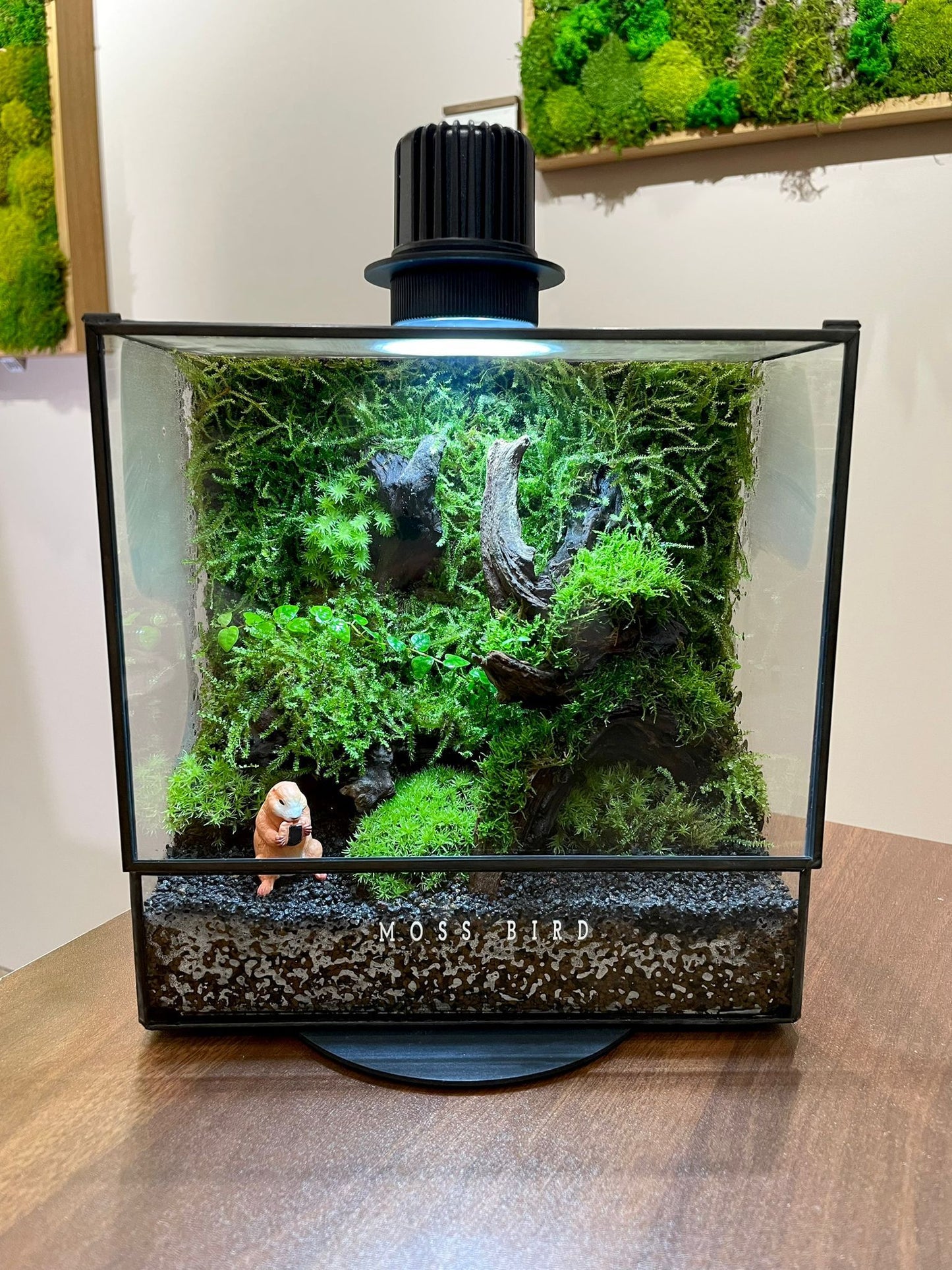 Black Box Collection Square Large#022