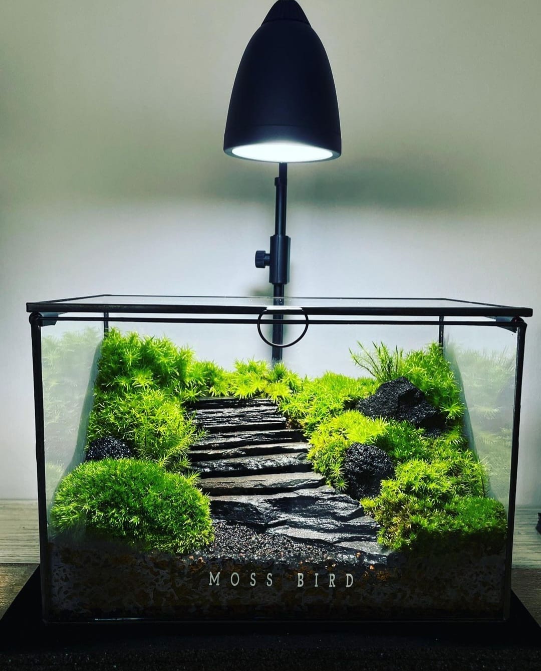 Black Box Collection Horizontal Large#003~庭園~