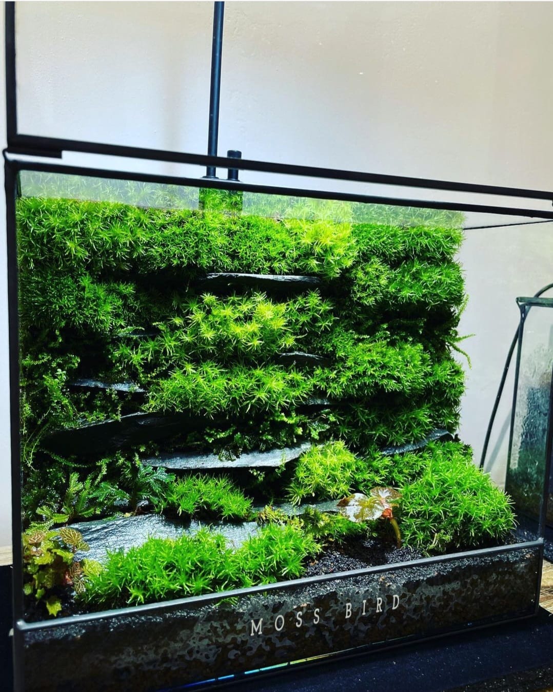 Black Box Collection Square Medium#001~雲層~