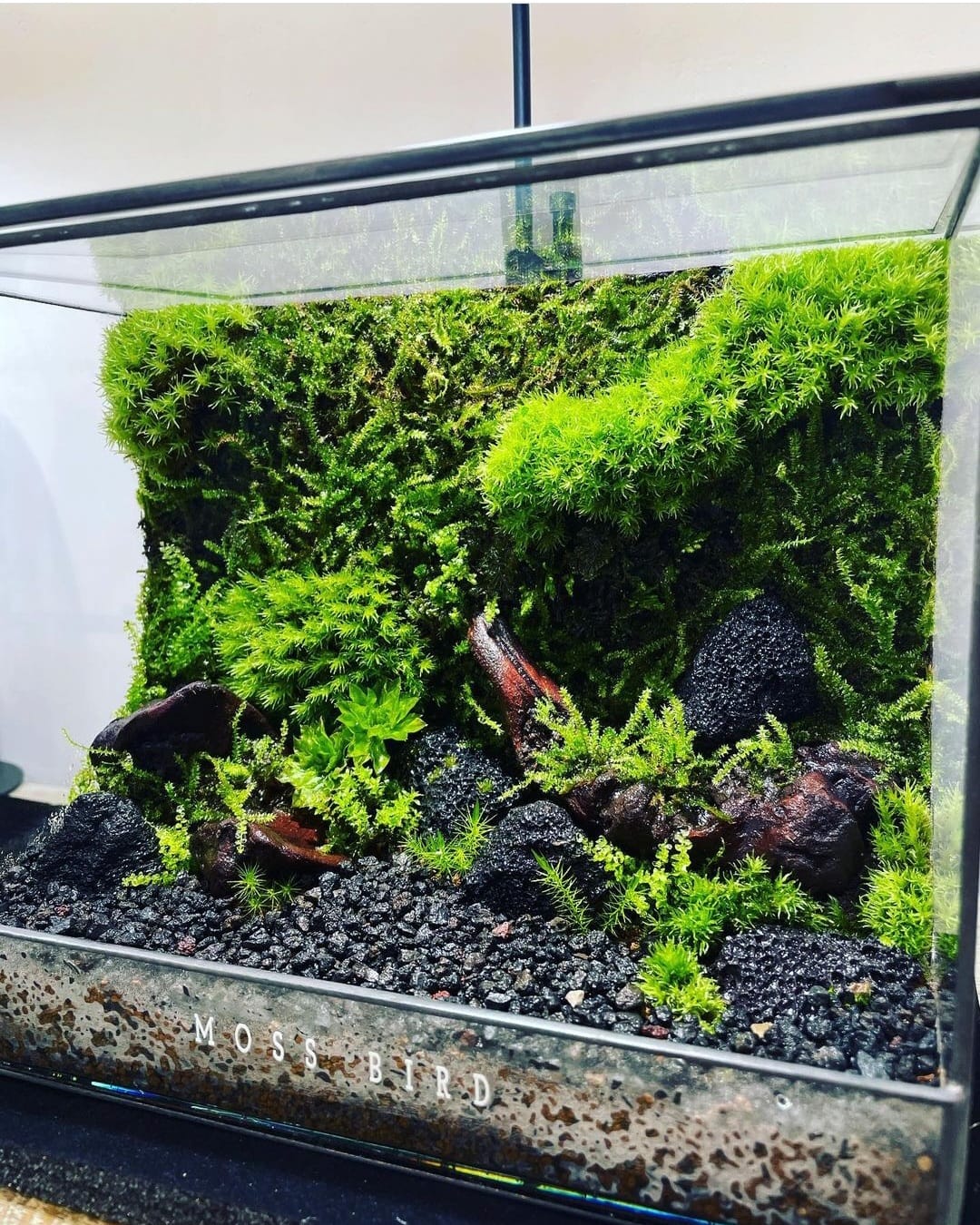 Black Box Collection Square Medium#002~初夏~