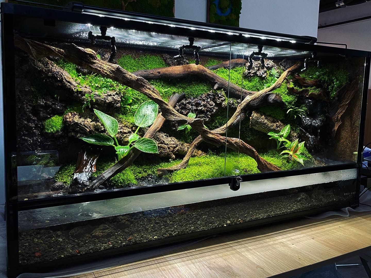 Customized Reptile Snake tank