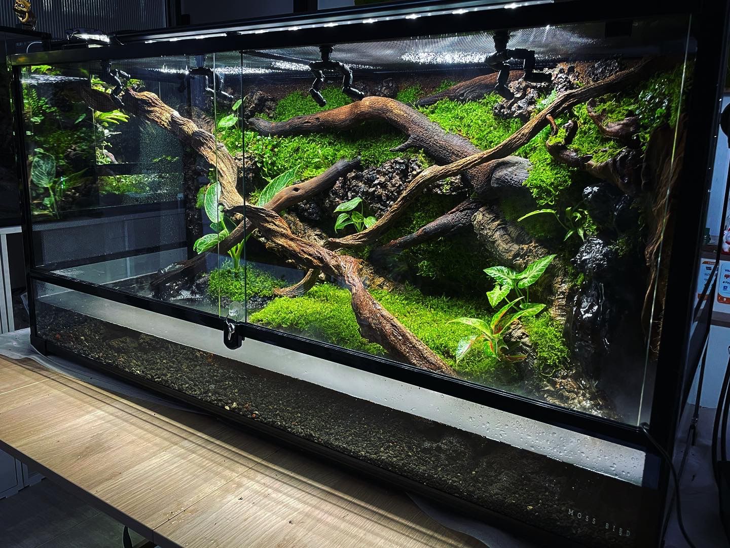 Customized Reptile Snake tank