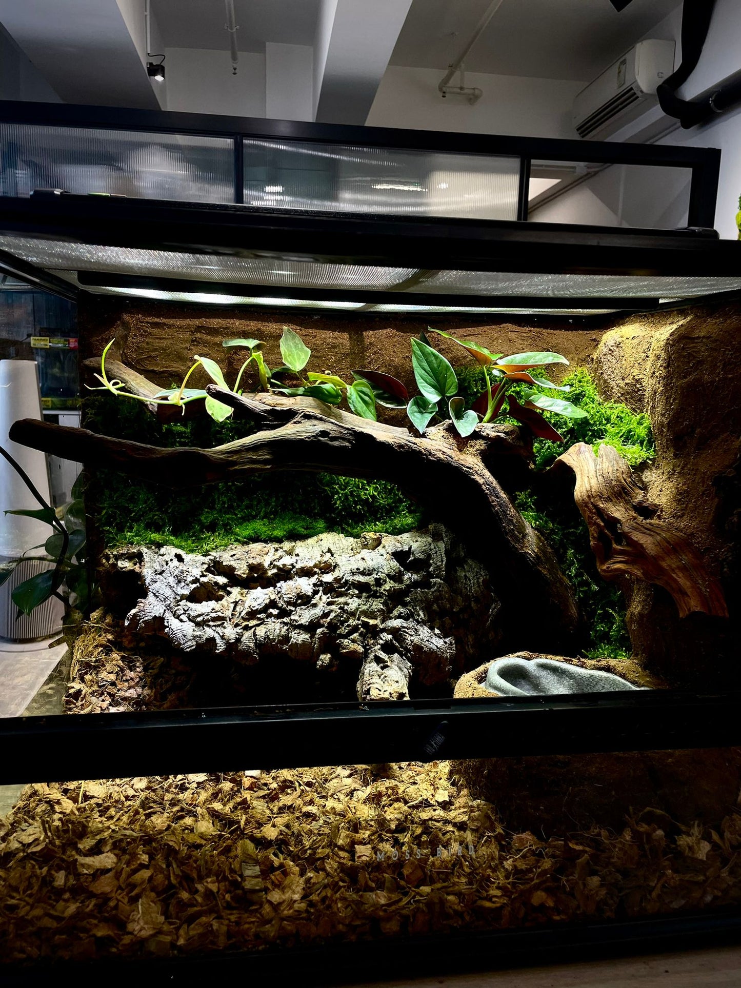 Customized Snake Tank