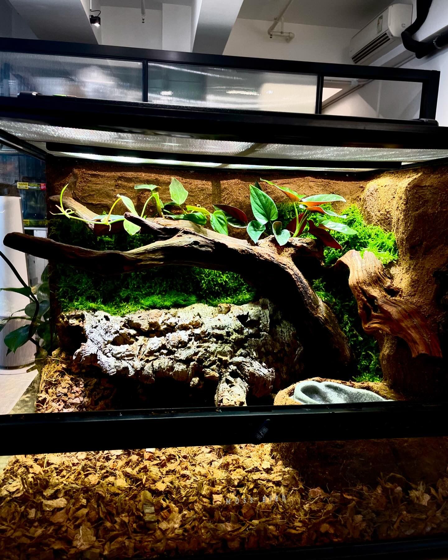 Customized Snake Tank