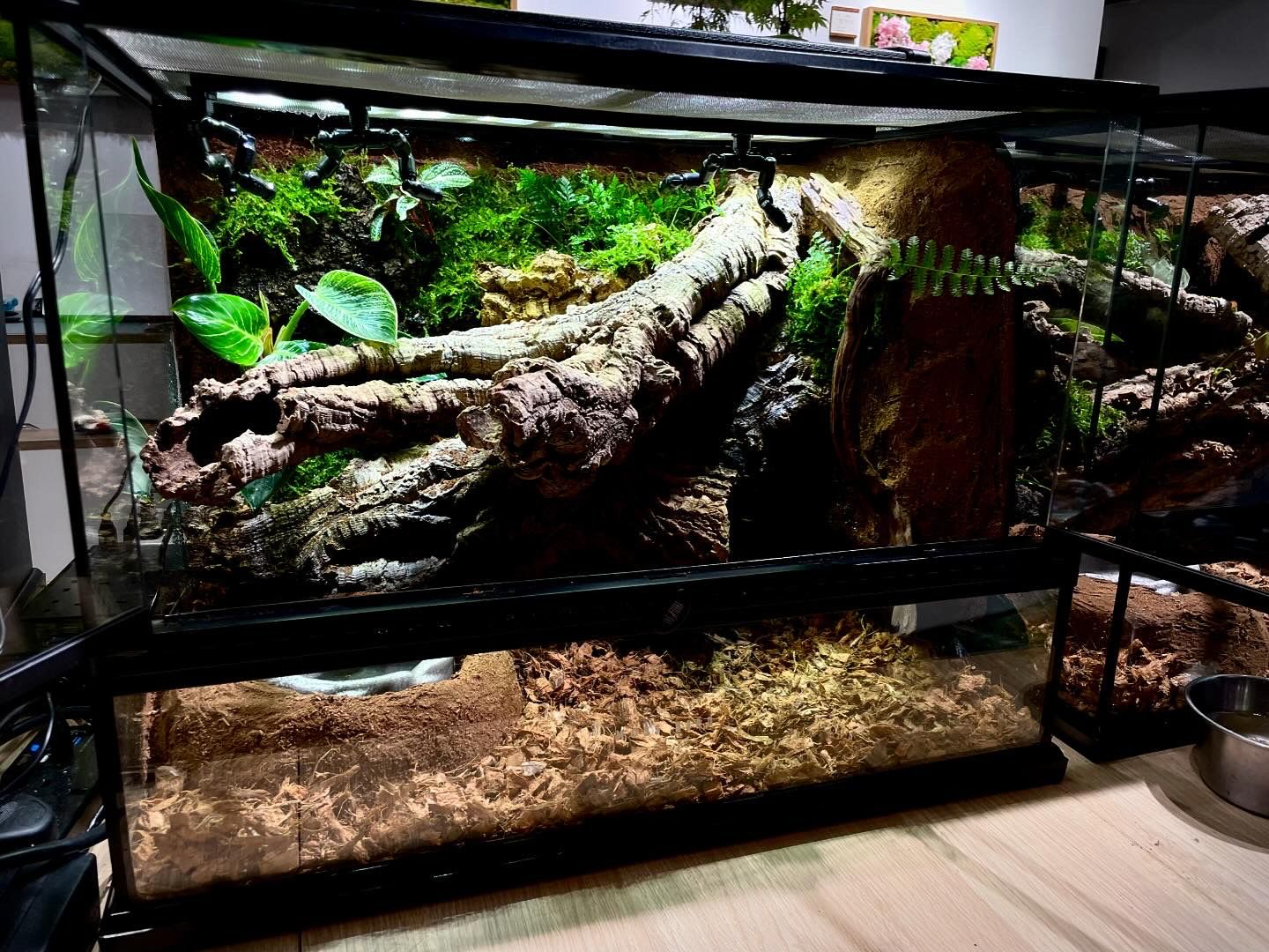 Customized Snake Tank