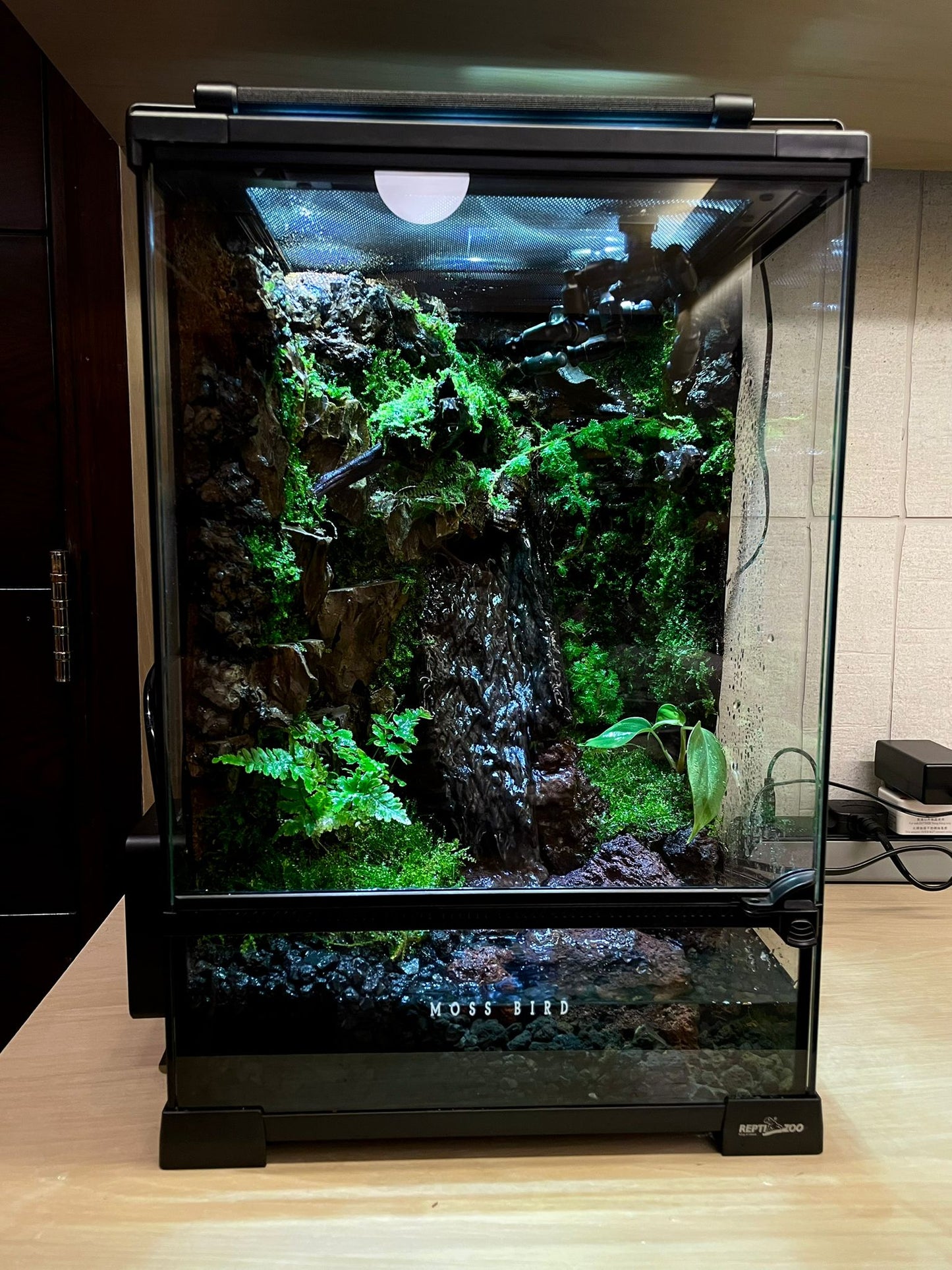 Customzied Vivarium Collection