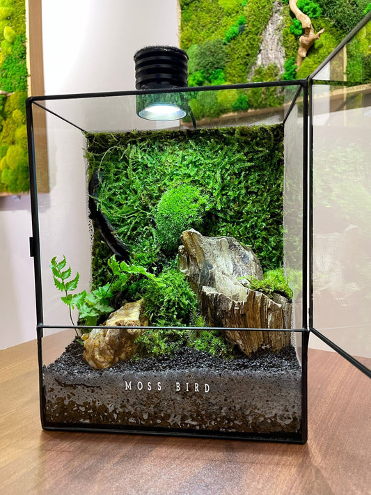 Black Box Collection Straight Large-SP002