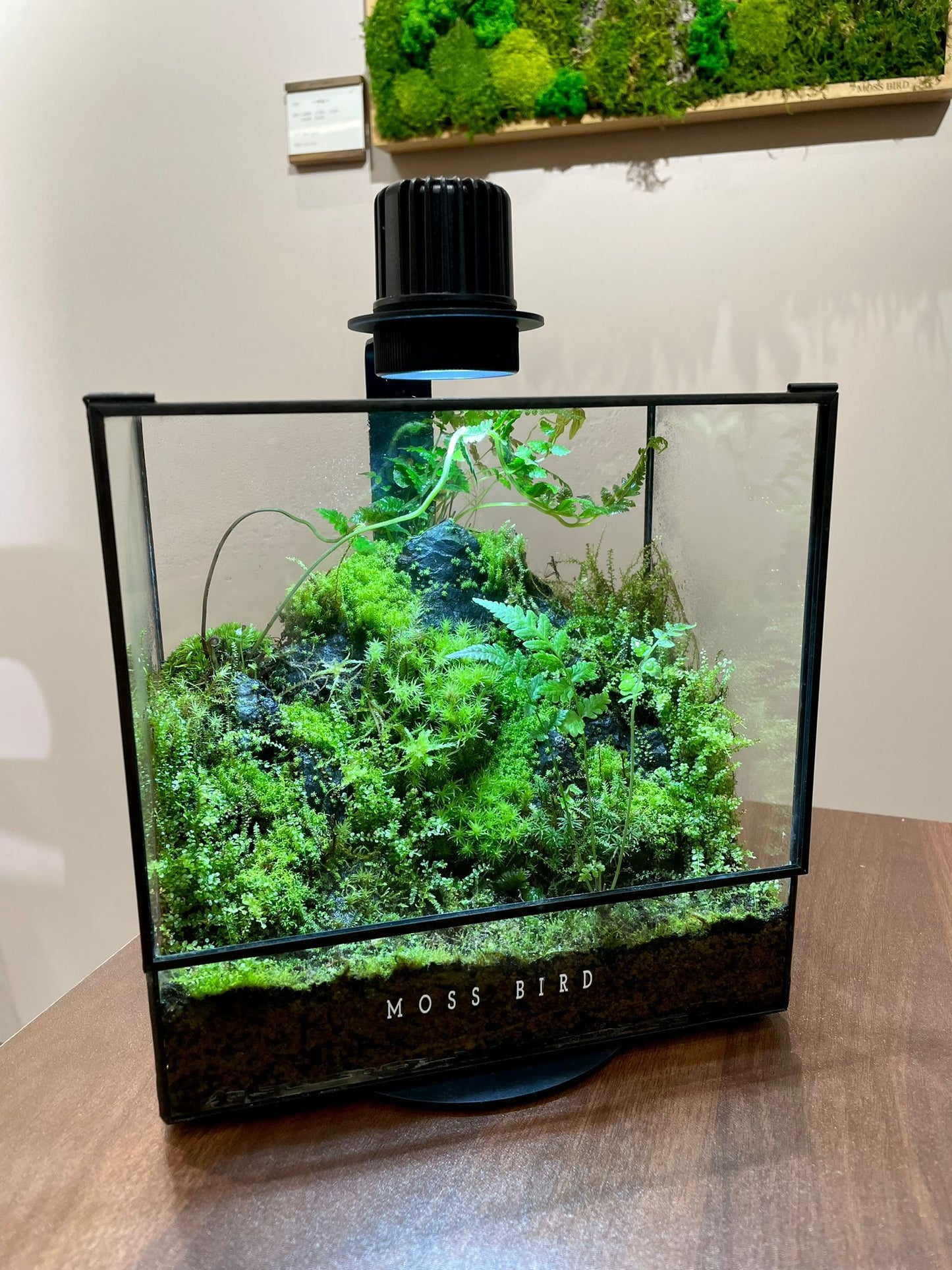 Black Box Collection Square Large#021