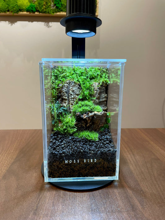 Forest Collection Straight Small#011