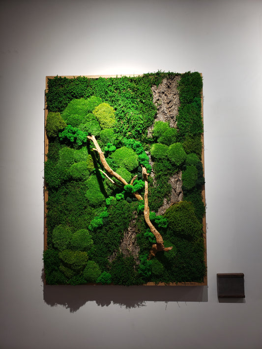 Preserved Moss Art Wall Collection Large#001