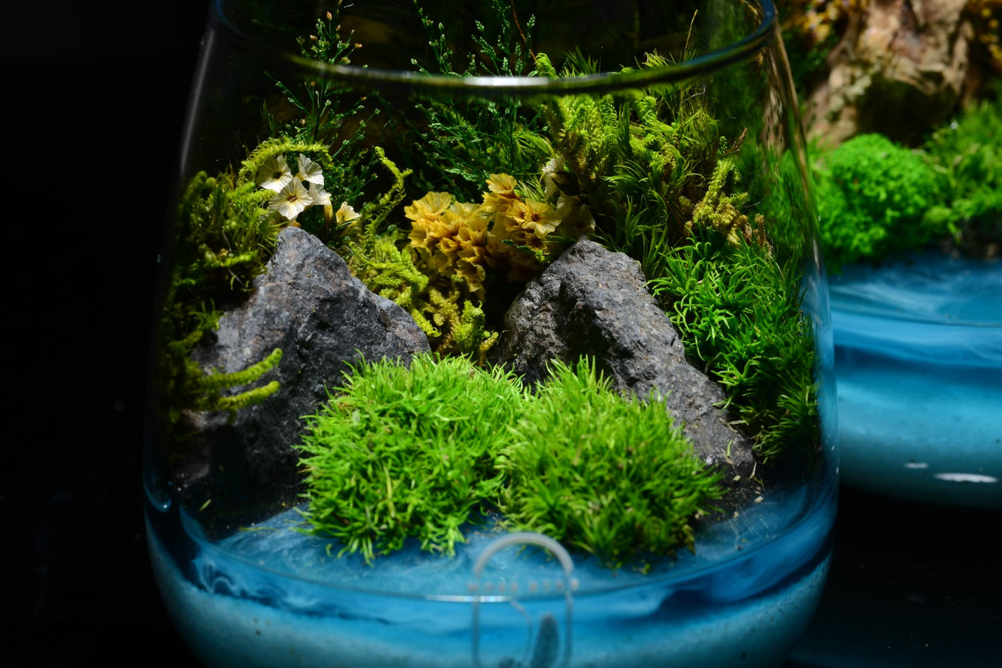 Mini Island(Preserved Moss)#004