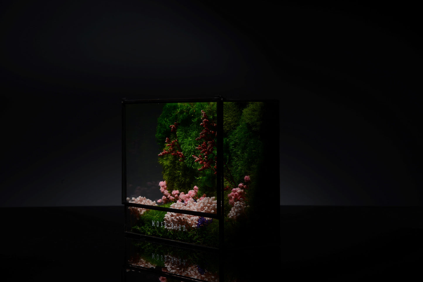 Preserved Moss Collection Square Small #001