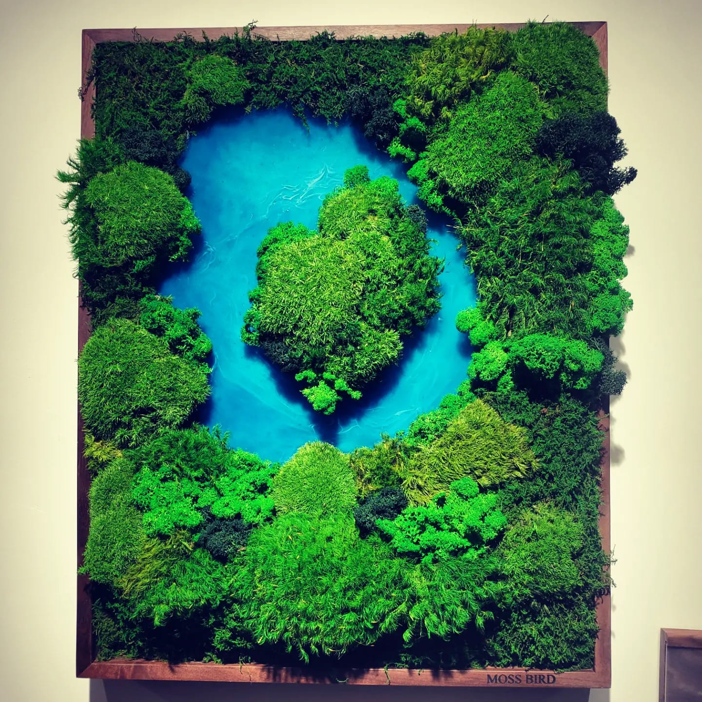 Preserved Moss Art Wall Collection Medium #001