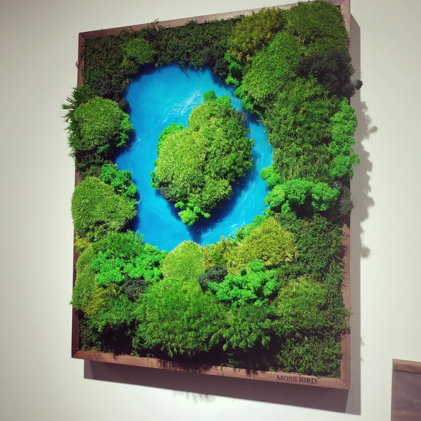 Preserved Moss Art Wall Collection Medium #001